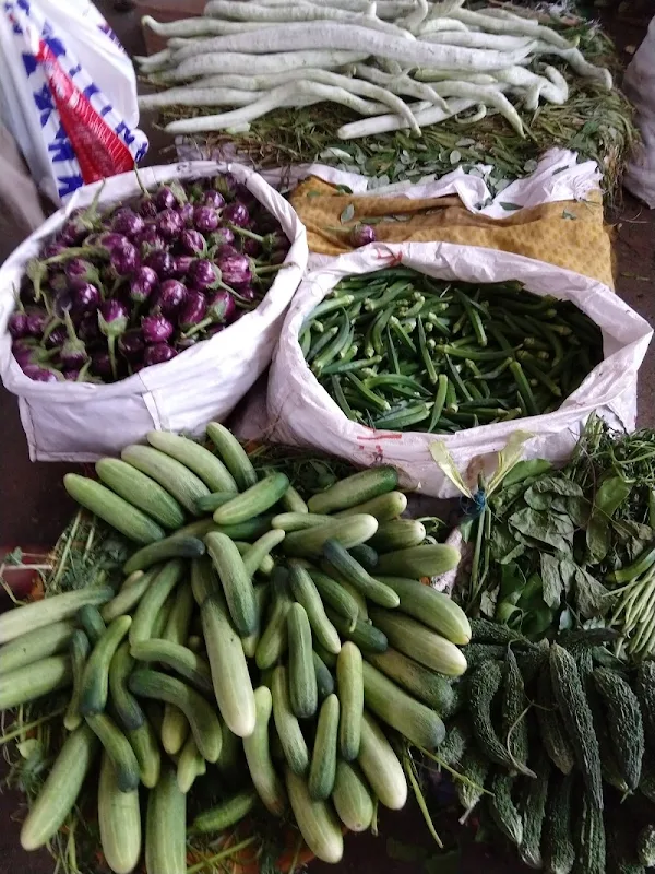 Mafco Retail Vegetable Market photo 