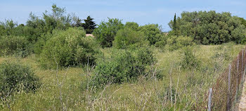 terrain à Leucate (11)