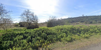 terrain à Agde (34)