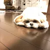 ユーザー