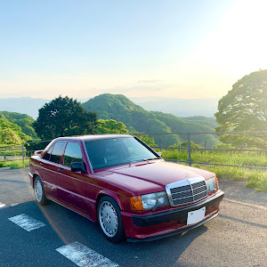 190シリーズ W201