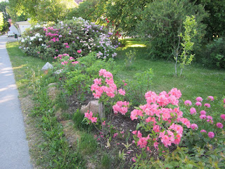 Jõgeva park