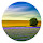 Lonely Tree HD Landscape New Tabs Theme