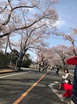 屋上でな！