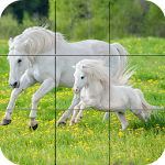 Cover Image of Télécharger Puzzle - Beautiful Horses 1.25 APK