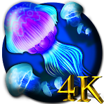 Jellyfishes 4K Live Wallpaper Apk