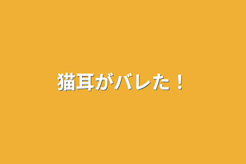 猫耳がバレた‼︎