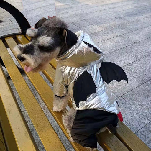 Title 4, Halloween Funny Bat Silver Pet Cotton Coat. Dre...