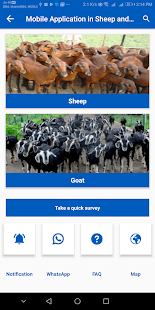 TANUVAS - Sheep and Goat Farming(圖4)-速報App