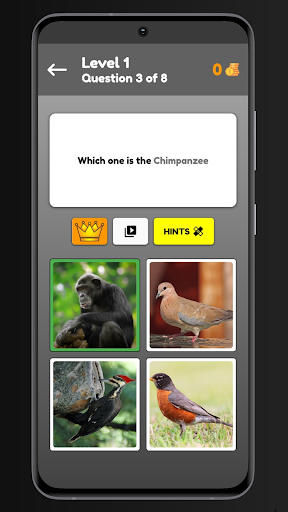 Screenshot Animals Quiz