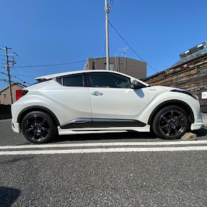 C-HR ZYX11