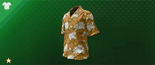 ビギニングアロハ