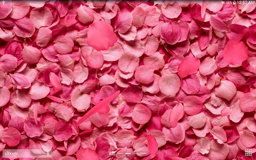 Download 3d Rose Live Wallpaper Free Google Play Softwares