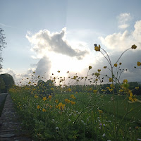 Lucca PARCO DELLE MURA  di 