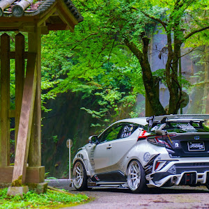 C-HR ZYX10