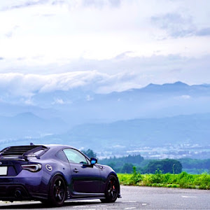 BRZ ZC6