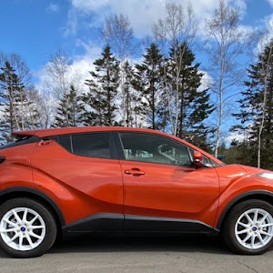 C-HR NGX50