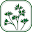 Oregon Plants Download on Windows