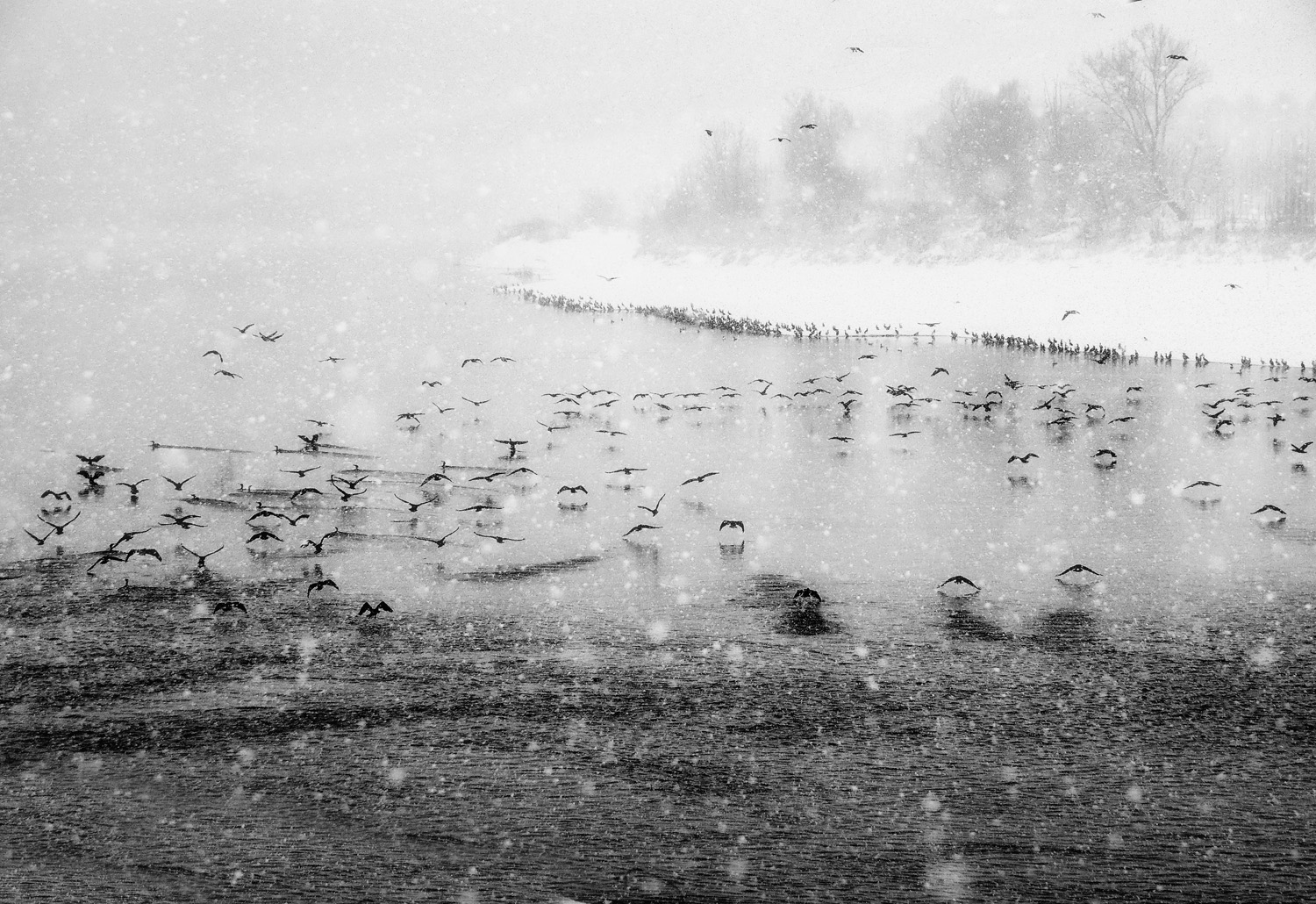 un "Po" di neve di bi