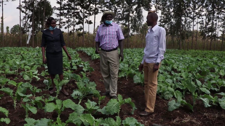 Roka Preparatory School secretary Nancy Wambui, proprietor James Kung'u and maths teacher Kevin Mbugua on a farm.