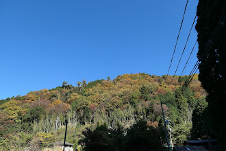 麓の紅葉が一番…