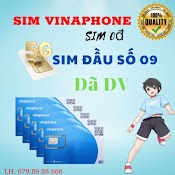 Sim Vinaphone Đầu Số 09 Đăng Ký Gói Vd149 - Vd49