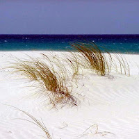 Le dune sul mare di 