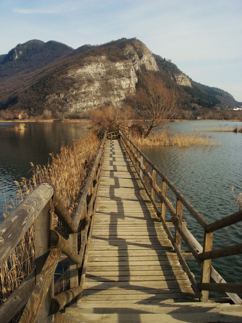 Le Torbiere del Sebino di marisa_serafini