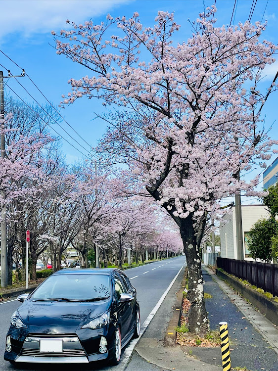 の投稿画像9枚目