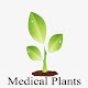 Download Medical Plants for Healthy For PC Windows and Mac 1.0