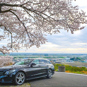 Cクラス ステーションワゴン S205