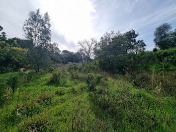 terrain à Sainte-Maxime (83)