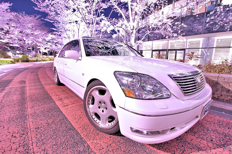 セルシオの桜と愛車・桜とコラボ・夜桜・セルシオ・セルシオ30後期に関するカスタム事例の投稿画像1枚目