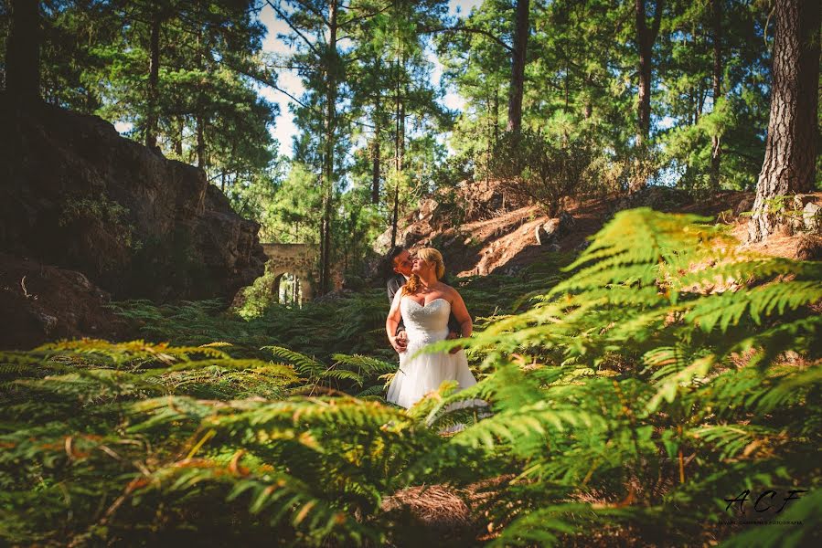 Wedding photographer Alvaro Cardenes (alvarocardenes). Photo of 14 March 2016