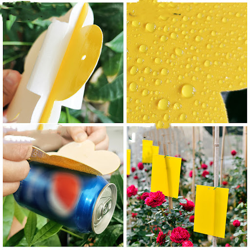 Title 4, Yellow Insect Trap Kills Small Flying Insects E...