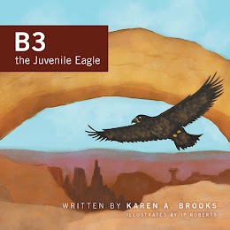 B3 the Juvenile Eagle cover