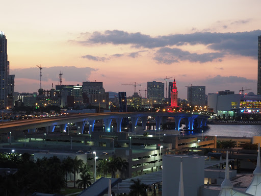 P2040018.JPG - Miami at dusk as we were leaving for our 7 day cruise.