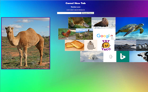 Camel New Tab