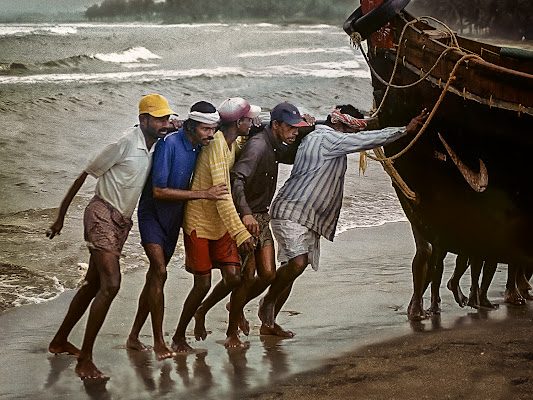 bekal di bi