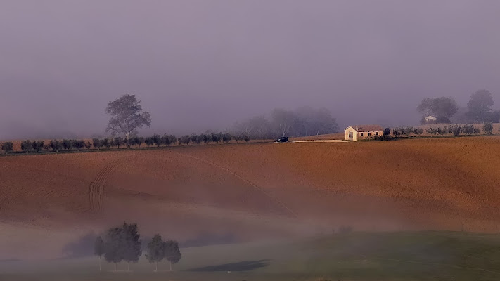 Toscana settembrina di alfonso gagliardi