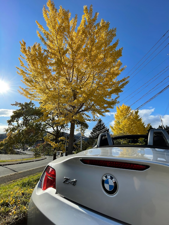 Z4 ロードスターのイチョウの木の下で・秋を探して・紅葉と愛車・慰霊碑・風情に関するカスタム事例の投稿画像1枚目