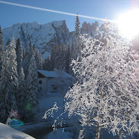 Grafismi in BIANCO di 