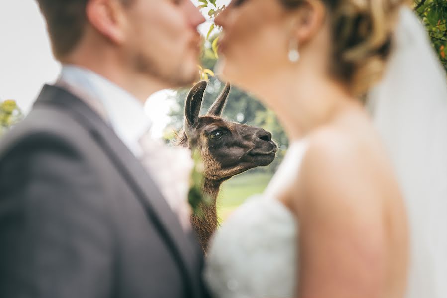 Fotógrafo de bodas Ian France (ianfrance). Foto del 30 de agosto 2015