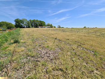 terrain à Sainte-Marie-de-Gosse (40)