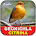 Geokichla citrina Bird's chirp