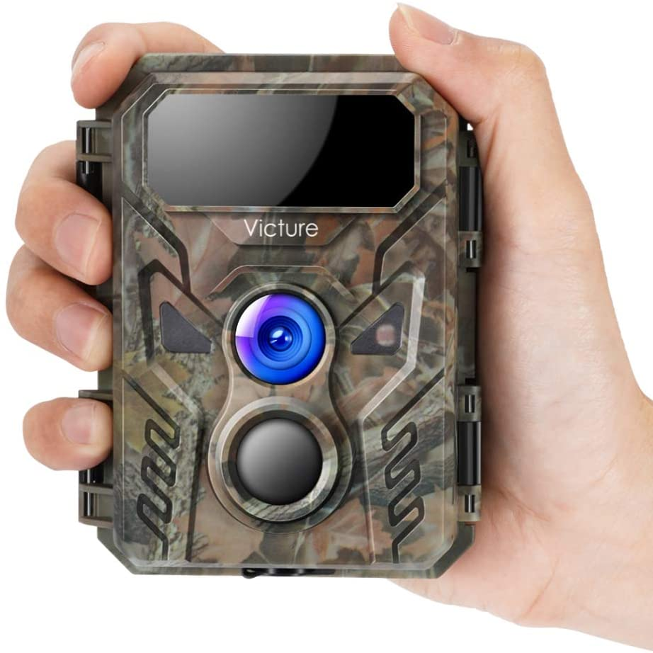 How To Choose The Best Wildlife Camera