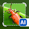 Picture insect: Bug identifier icon