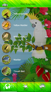 How to install Bird Ringtones 6.0 mod apk for android