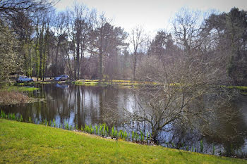 terrain à Ingrandes (86)