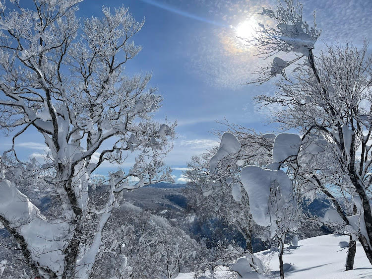 Q5の雪のない・季節が・恋しくて・運動不足・お山の散歩に関するカスタム事例の投稿画像6枚目